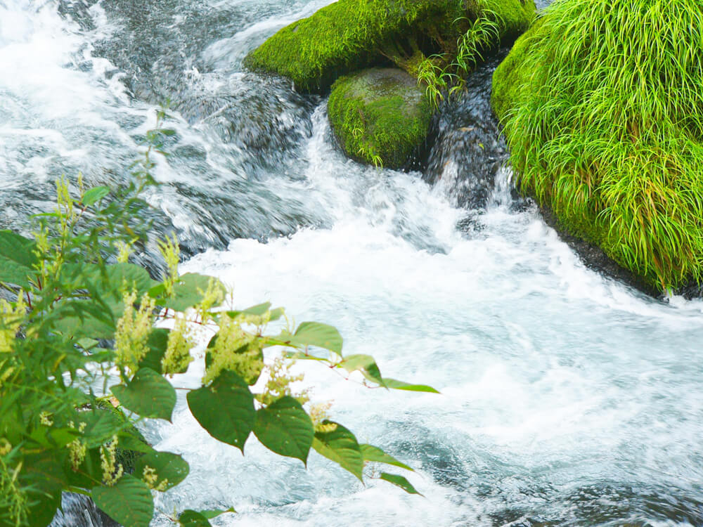 KSTプロダクツ株式会社