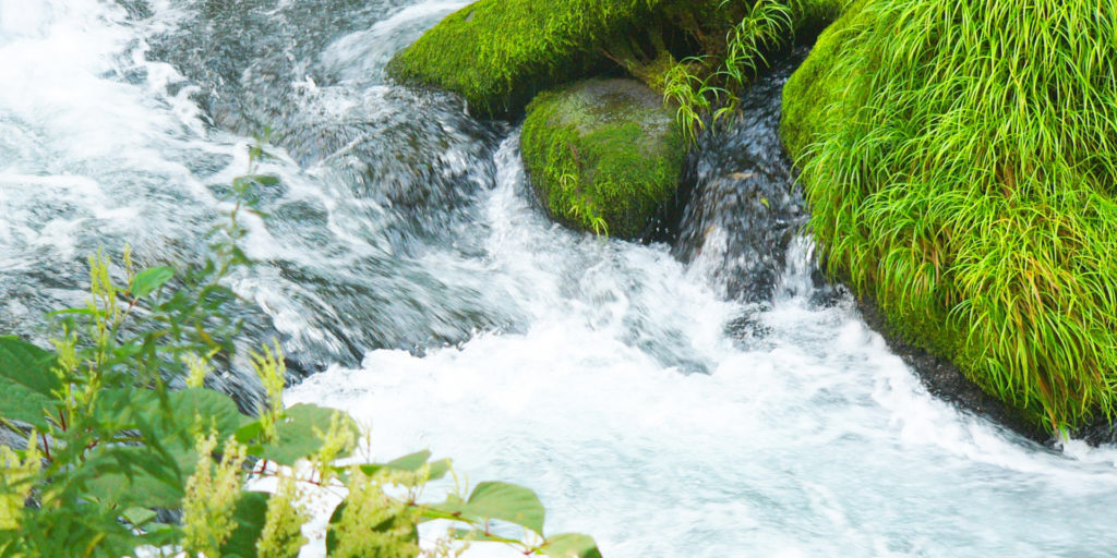 しらかわの郷 雪花のしずく